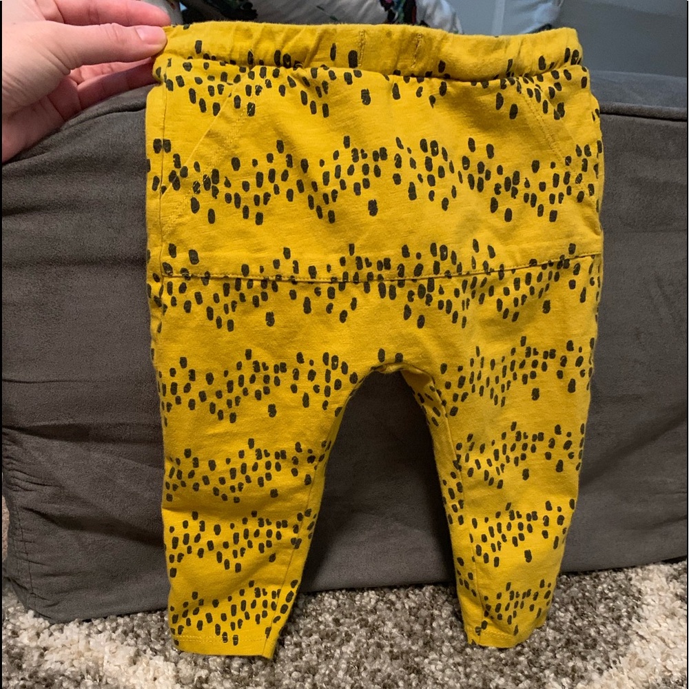 Zara pants